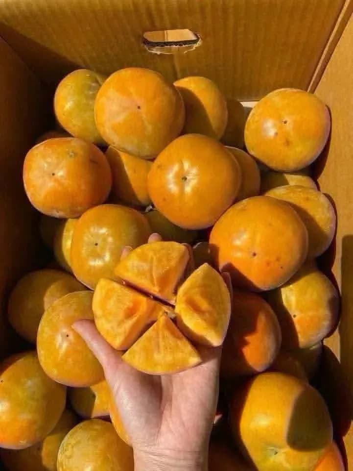 단감, 감 10kg 사진 1/3